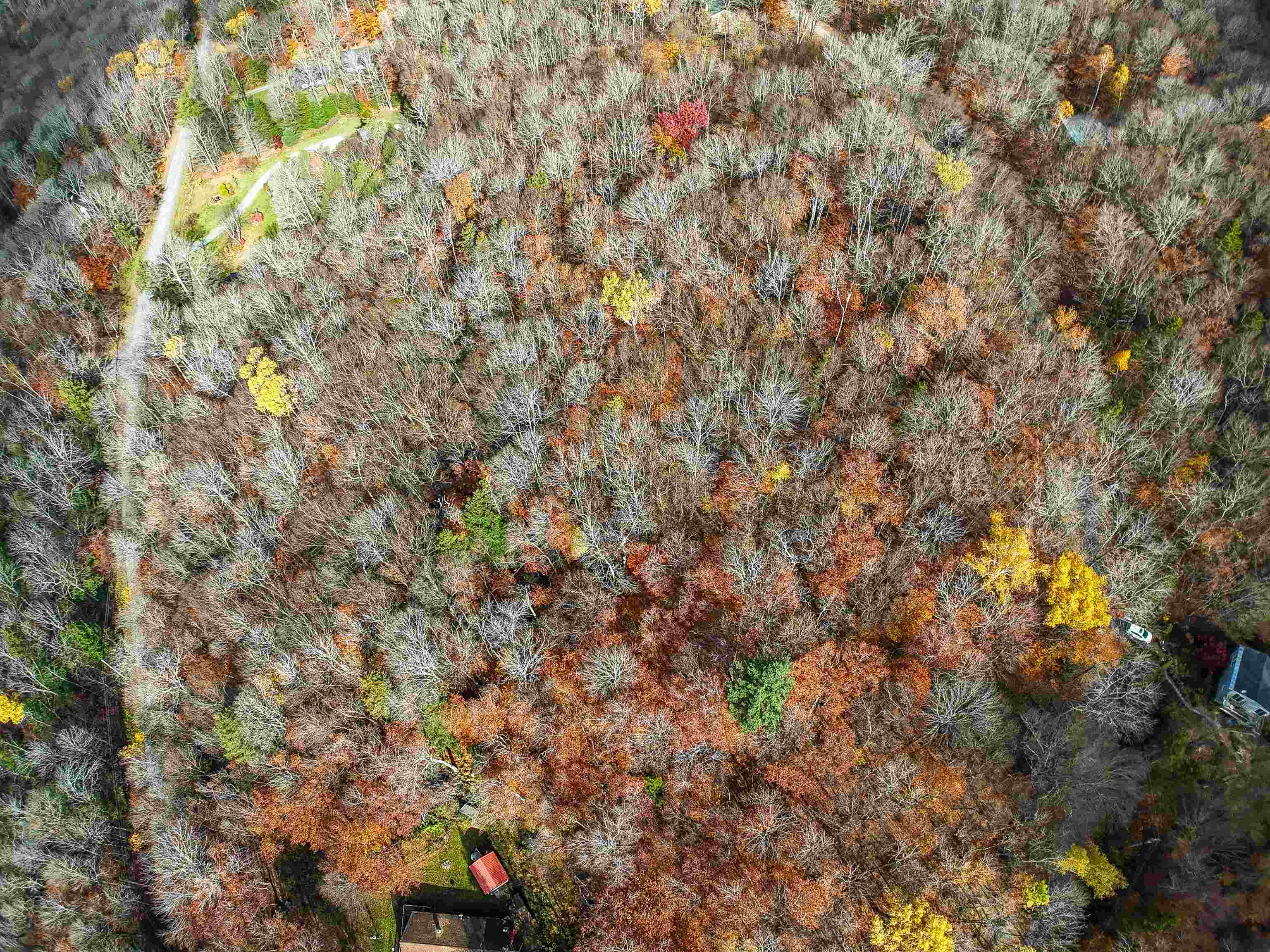 0 Heartwellville View Road, Unit 38/39 Readsboro, VT 05350 - Photo 4 of 4