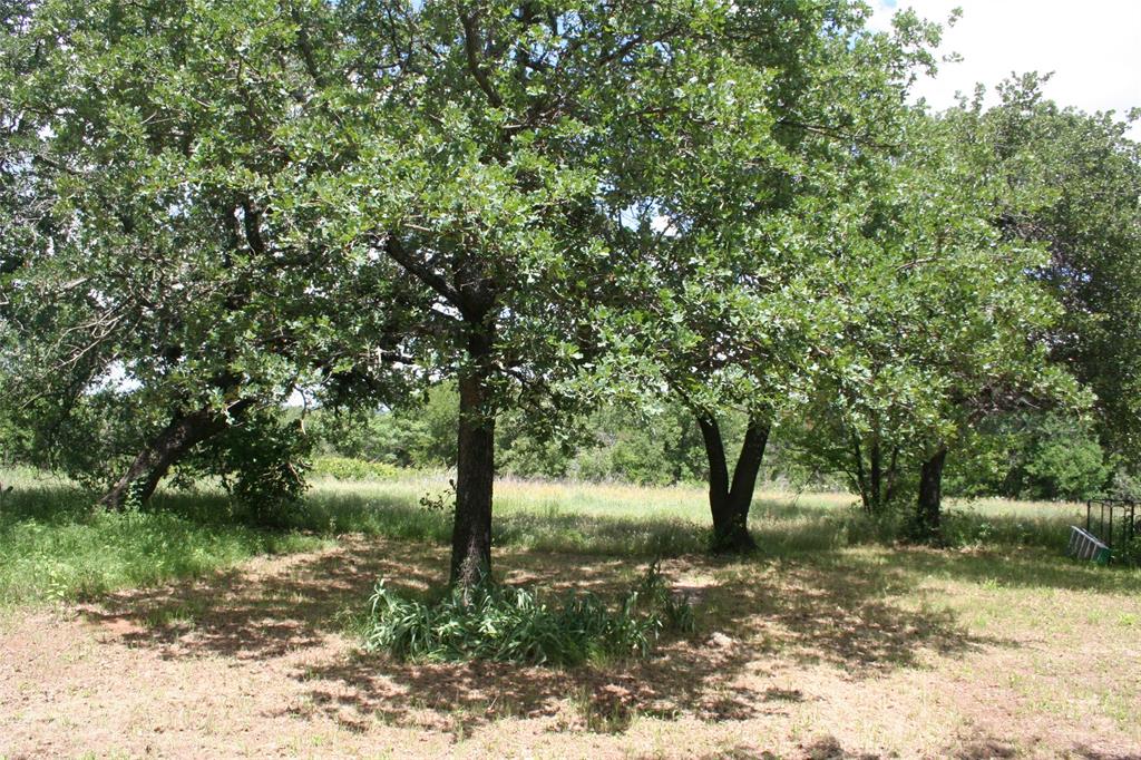 215 A Buzbee Road Palo Pinto, TX 76484 - Photo 1 of 7 a view of a yard with a tree