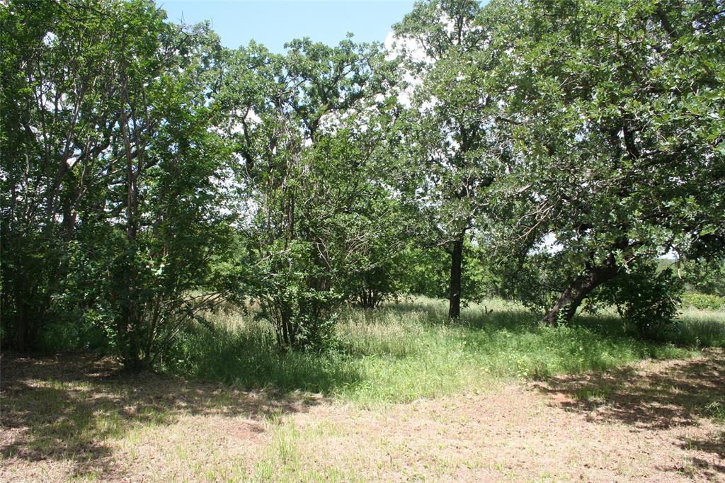 215 A Buzbee Road Palo Pinto, TX 76484 - Photo 2 of 7 a big yard with lots of green space and trees in the background