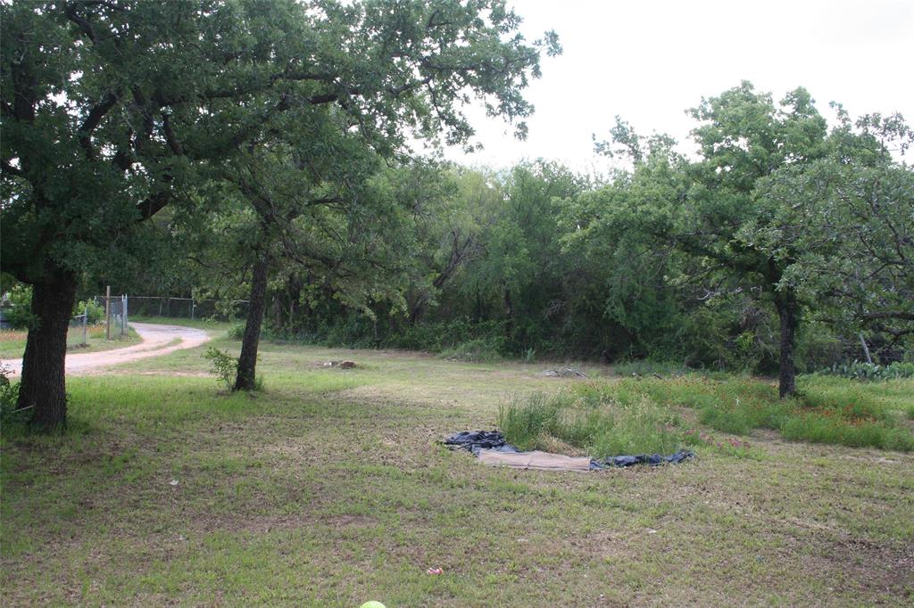 215 A Buzbee Road Palo Pinto, TX 76484 - Photo 3 of 7 a view of a field with a tree