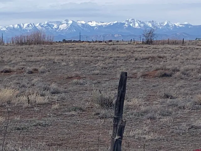 a view of a dry yard