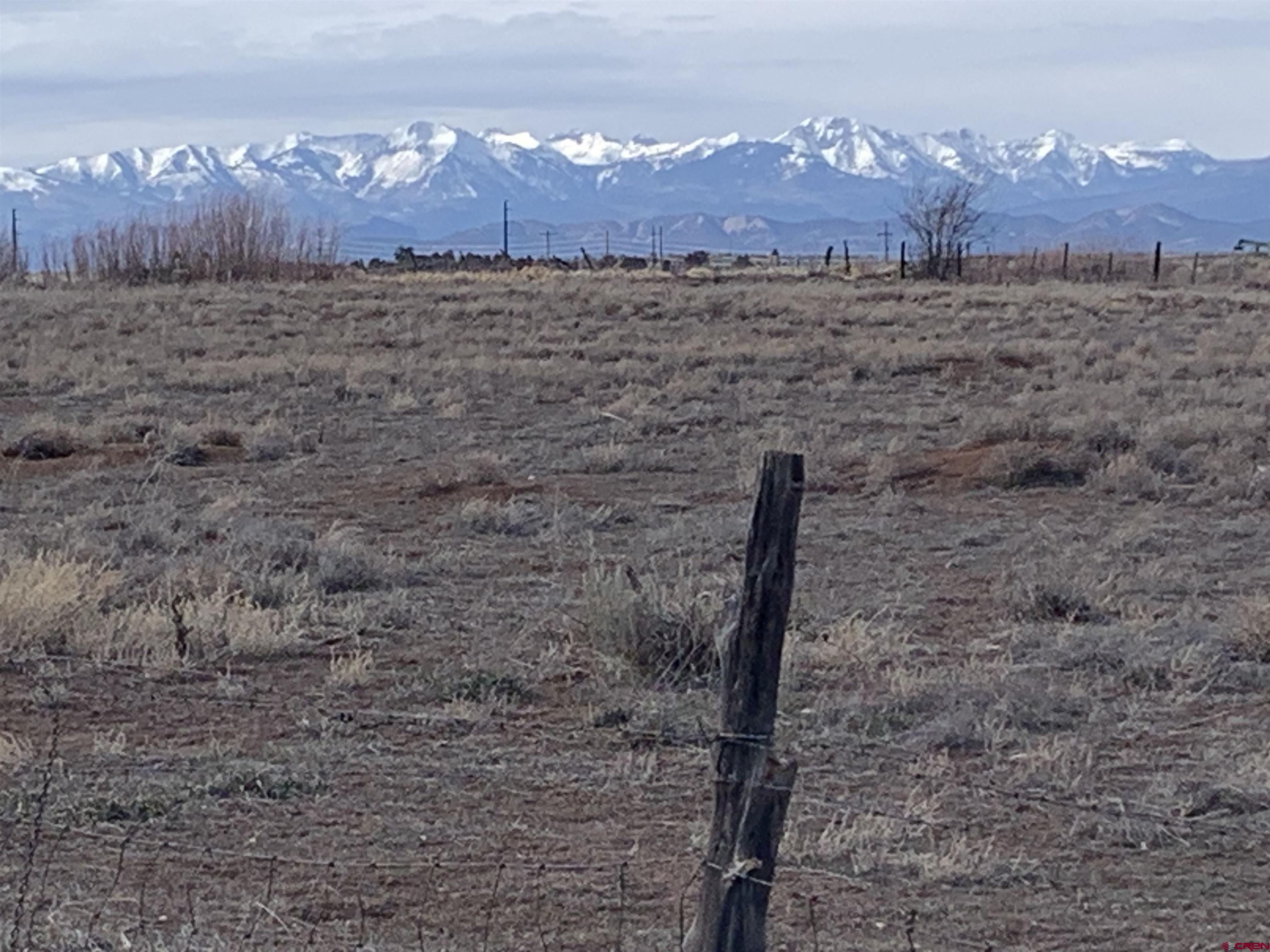 210 Manzano Circle Ignacio, CO 81137 - Photo 4 of 10 a view of a dry yard