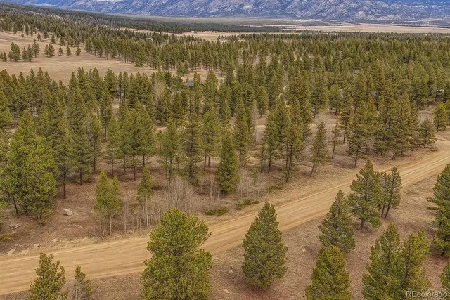 a view of road and trees