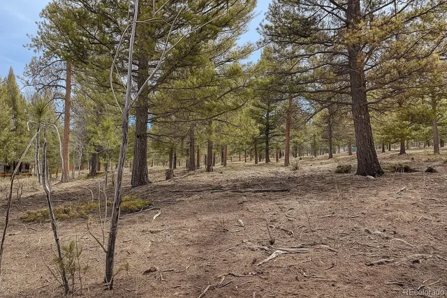a view of outdoor space with trees