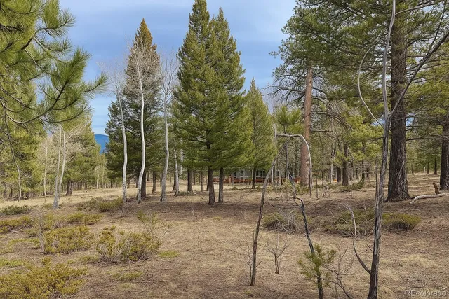 $190,000 | 30406 National Forest Drive, Buena Vista, CO 81211