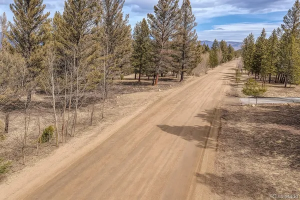 a view of empty space and trees