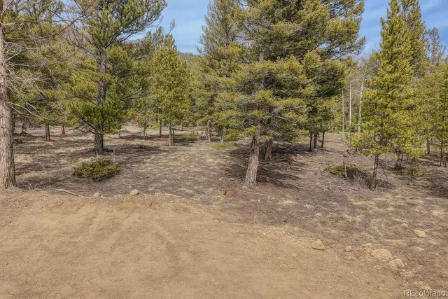 a view of a yard with a tree