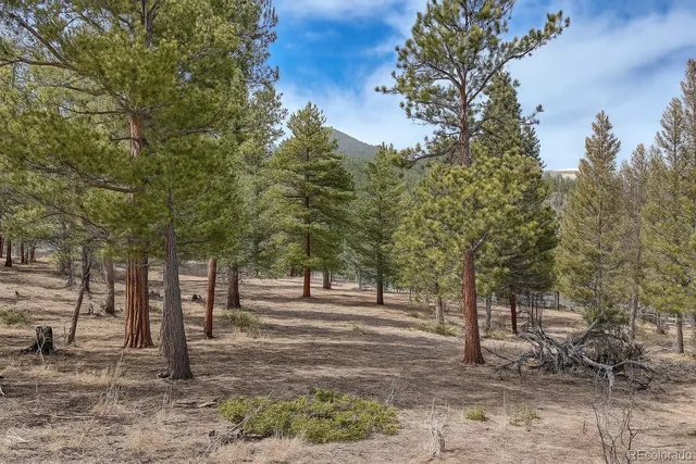 a view of park space