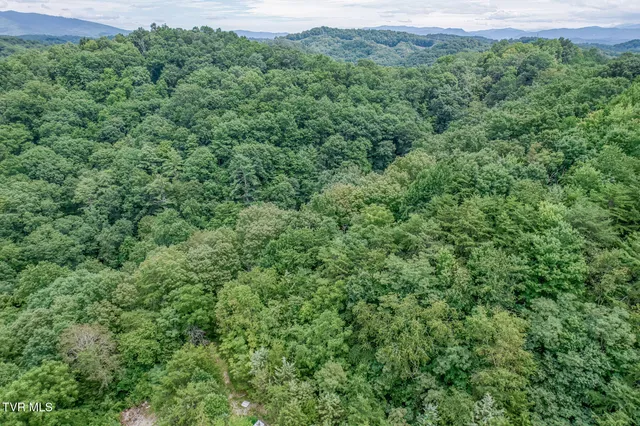 $299,999 | 176 Wade Bulla Road, Watauga, TN 37694