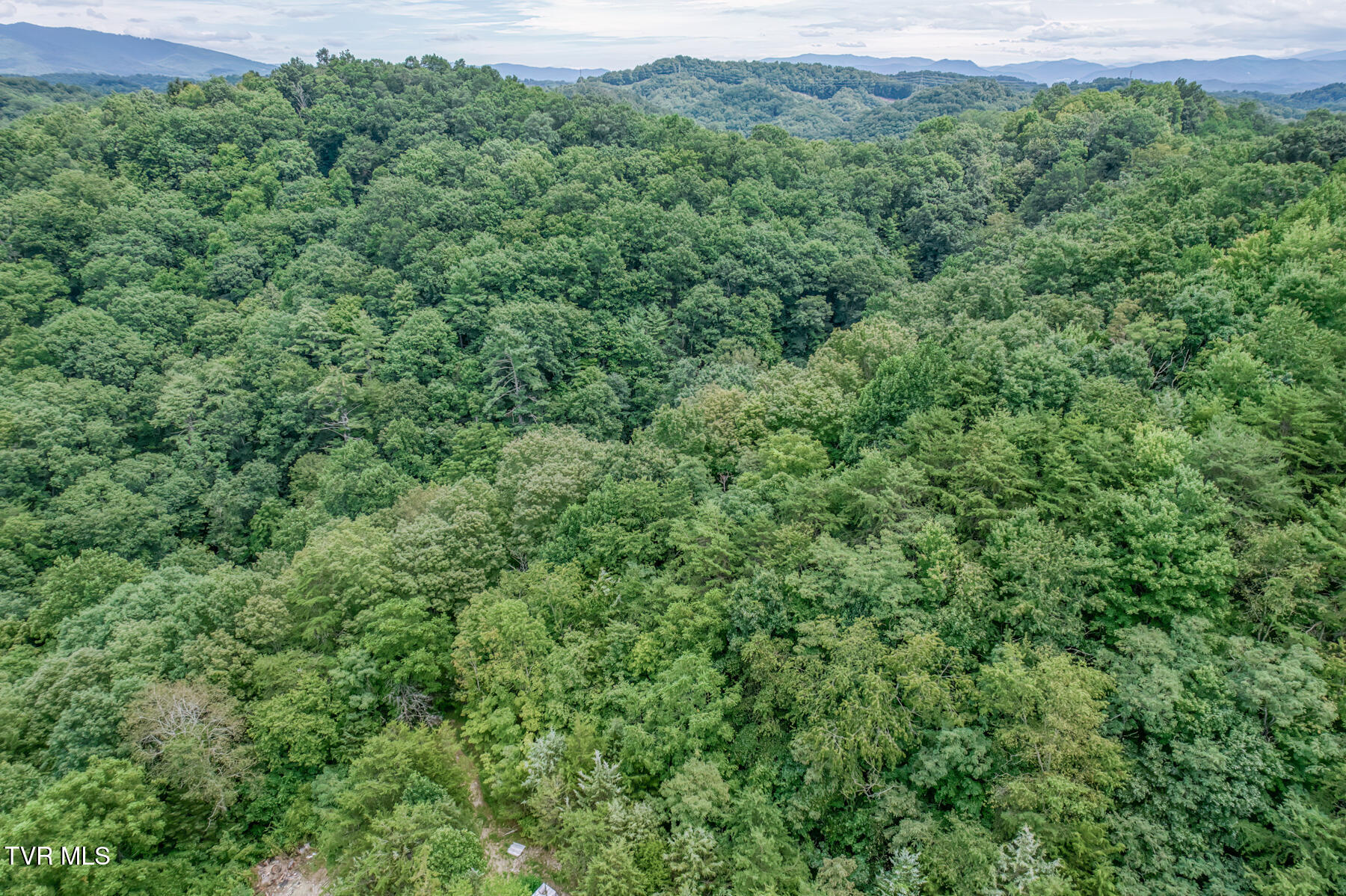 176 Wade Bulla Road Watauga, TN 37694 - Photo 11 of 62 176 Wade Bulla Rd-9