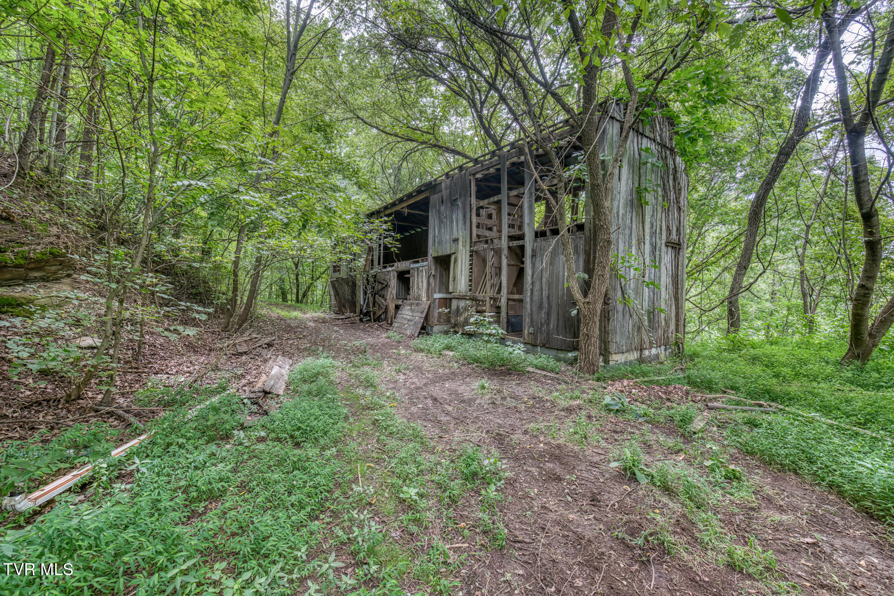 176 Wade Bulla Road Watauga, TN 37694 - Photo 37 of 62 176 Wade Bulla Rd-35