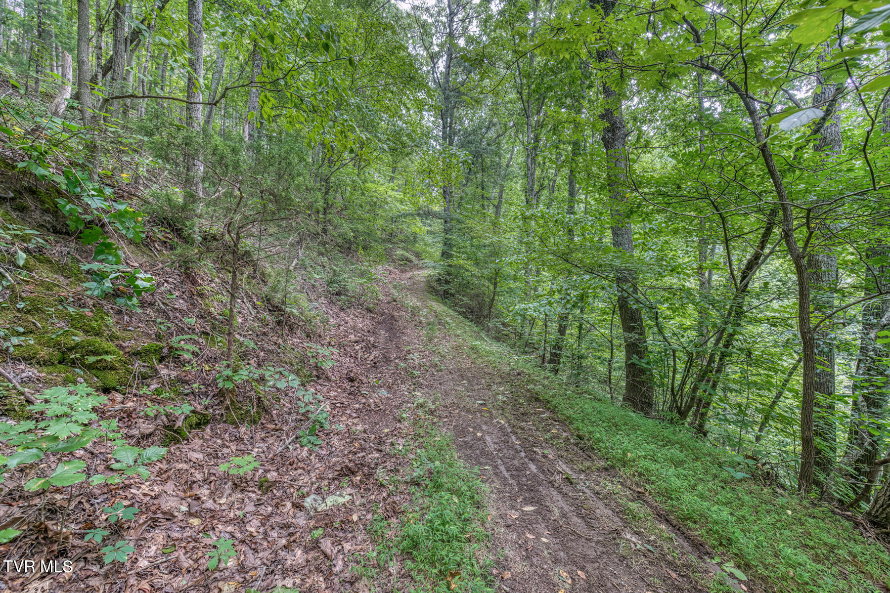 176 Wade Bulla Road Watauga, TN 37694 - Photo 38 of 62 176 Wade Bulla Rd-36