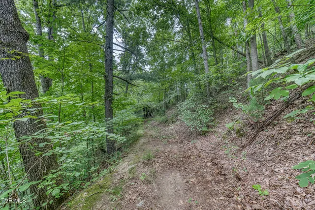 $299,999 | 176 Wade Bulla Road, Watauga, TN 37694