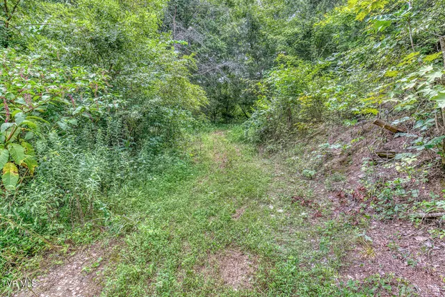 $299,999 | 176 Wade Bulla Road, Watauga, TN 37694