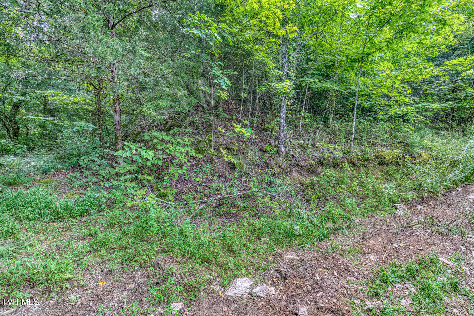 176 Wade Bulla Road Watauga, TN 37694 - Photo 42 of 62 176 Wade Bulla Rd-40