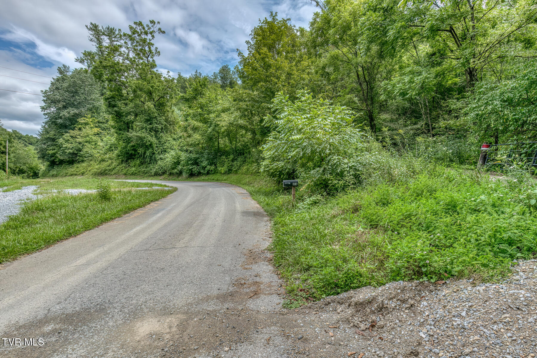 176 Wade Bulla Road Watauga, TN 37694 - Photo 43 of 62 176 Wade Bulla Rd-41