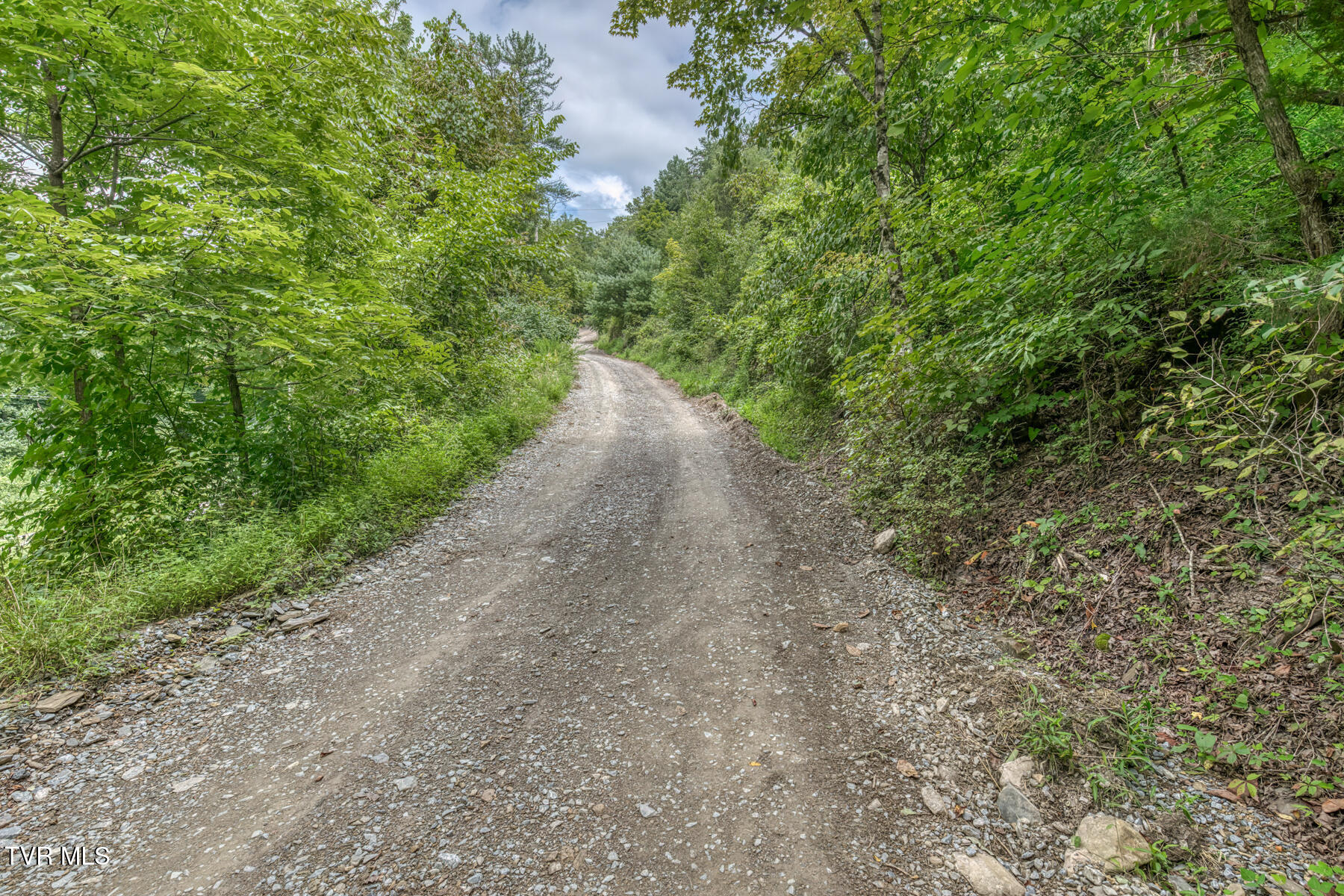 176 Wade Bulla Road Watauga, TN 37694 - Photo 44 of 62 176 Wade Bulla Rd-42