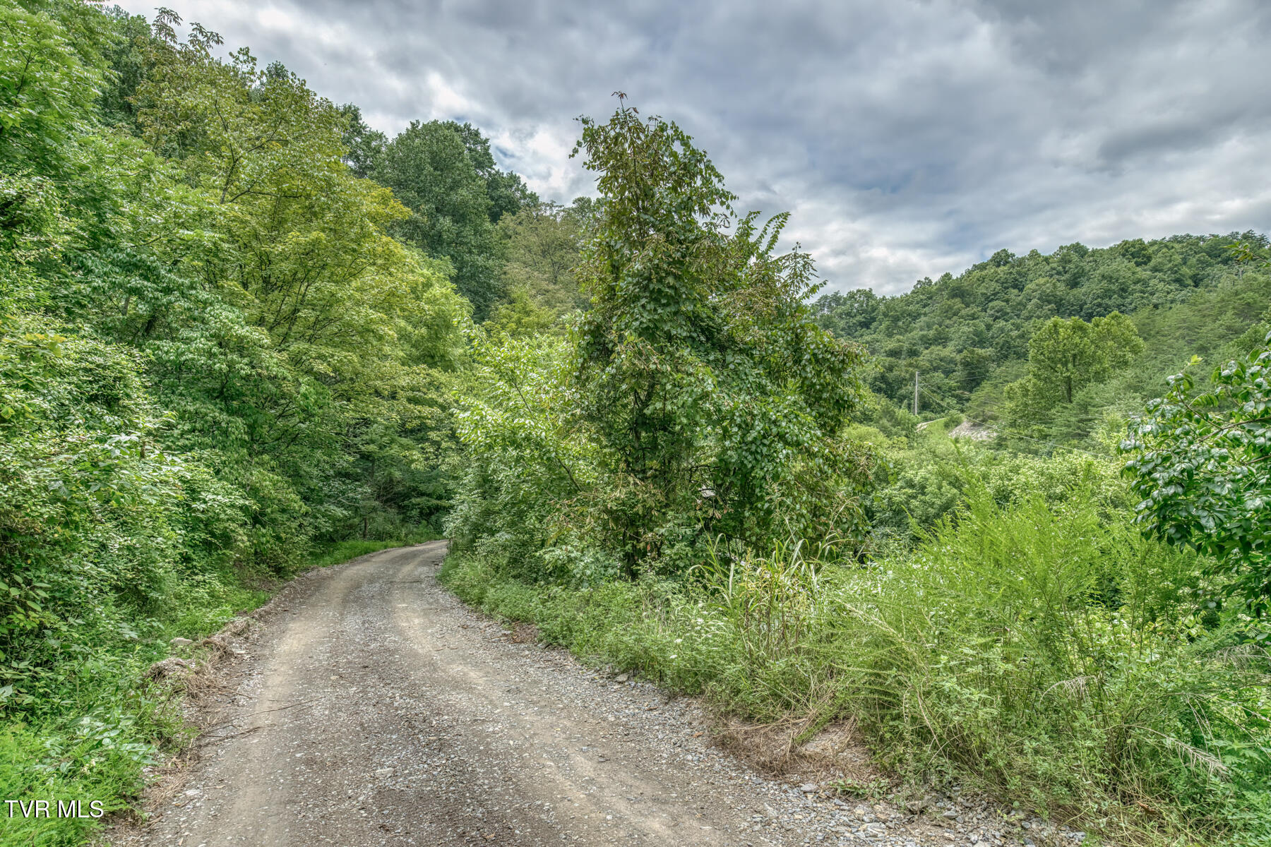 176 Wade Bulla Road Watauga, TN 37694 - Photo 45 of 62 176 Wade Bulla Rd-43