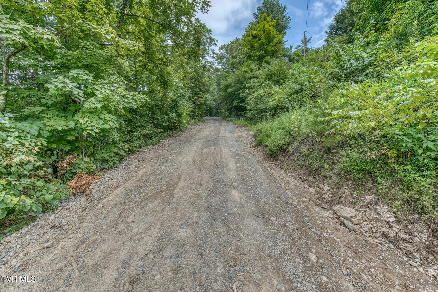 176 Wade Bulla Road Watauga, TN 37694 - Photo 46 of 62 176 Wade Bulla Rd-44