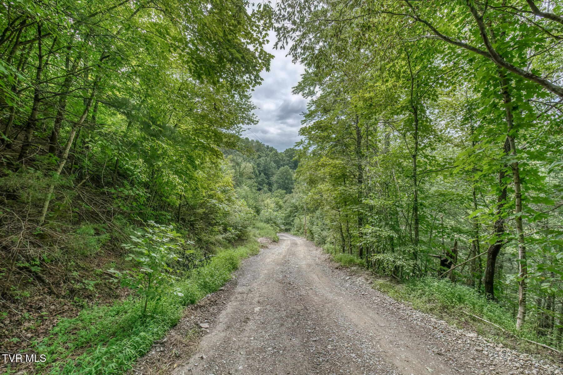 176 Wade Bulla Road Watauga, TN 37694 - Photo 47 of 62 176 Wade Bulla Rd-45