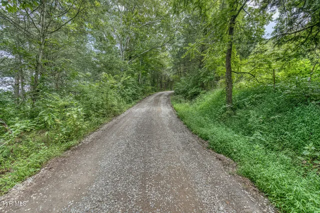 $299,999 | 176 Wade Bulla Road, Watauga, TN 37694