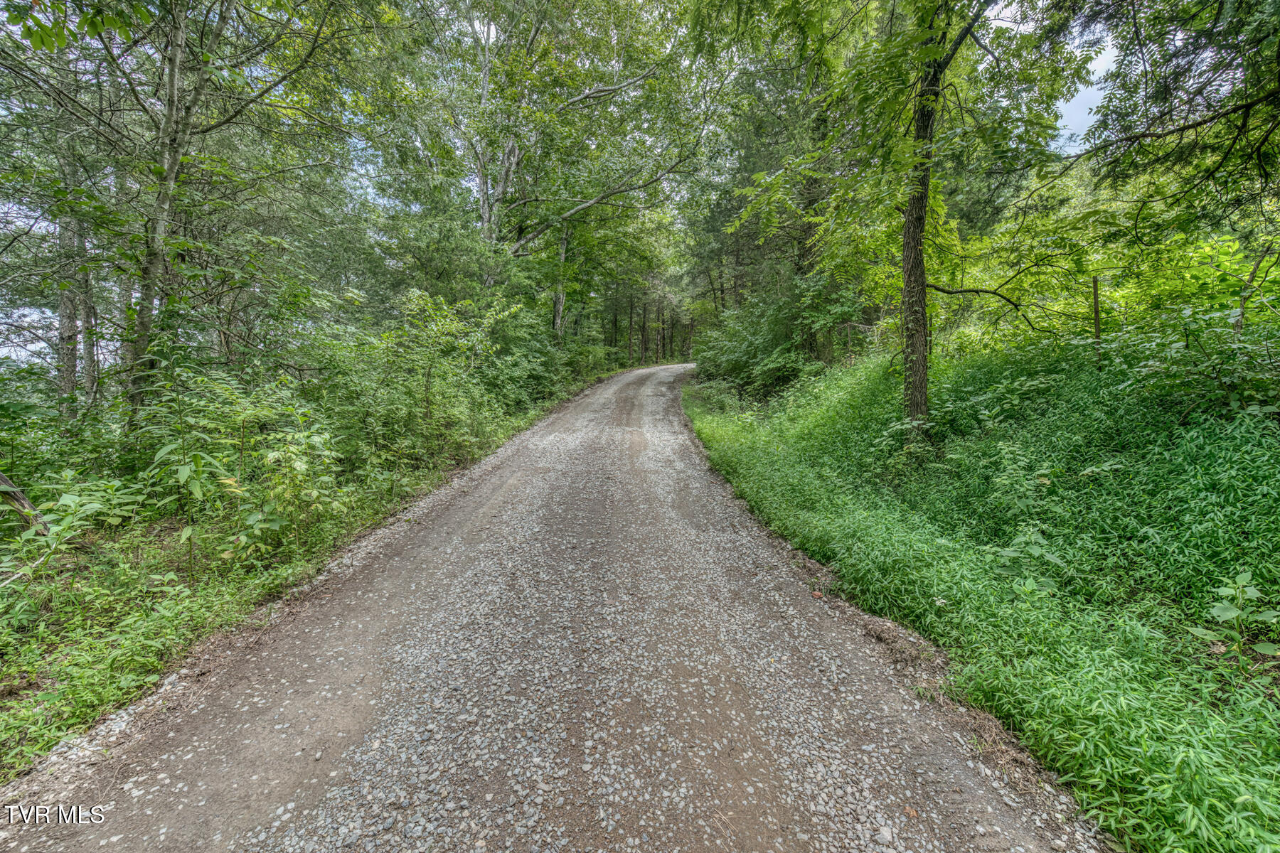 176 Wade Bulla Road Watauga, TN 37694 - Photo 49 of 62 176 Wade Bulla Rd-47