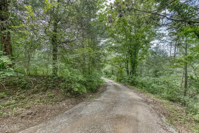 $299,999 | 176 Wade Bulla Road, Watauga, TN 37694