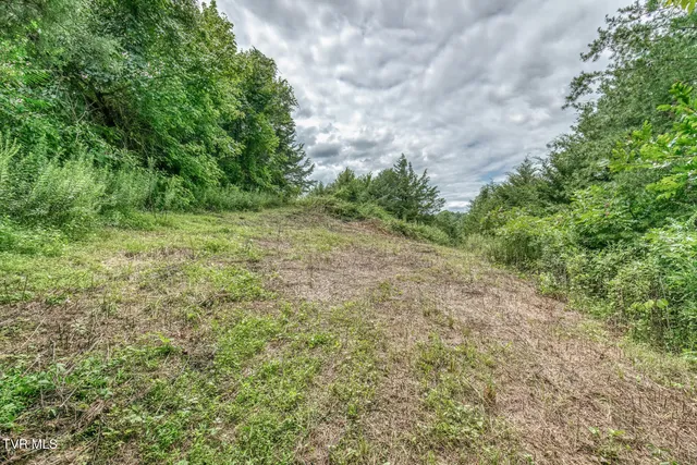 $299,999 | 176 Wade Bulla Road, Watauga, TN 37694