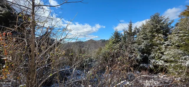 $299,999 | 176 Wade Bulla Road, Watauga, TN 37694