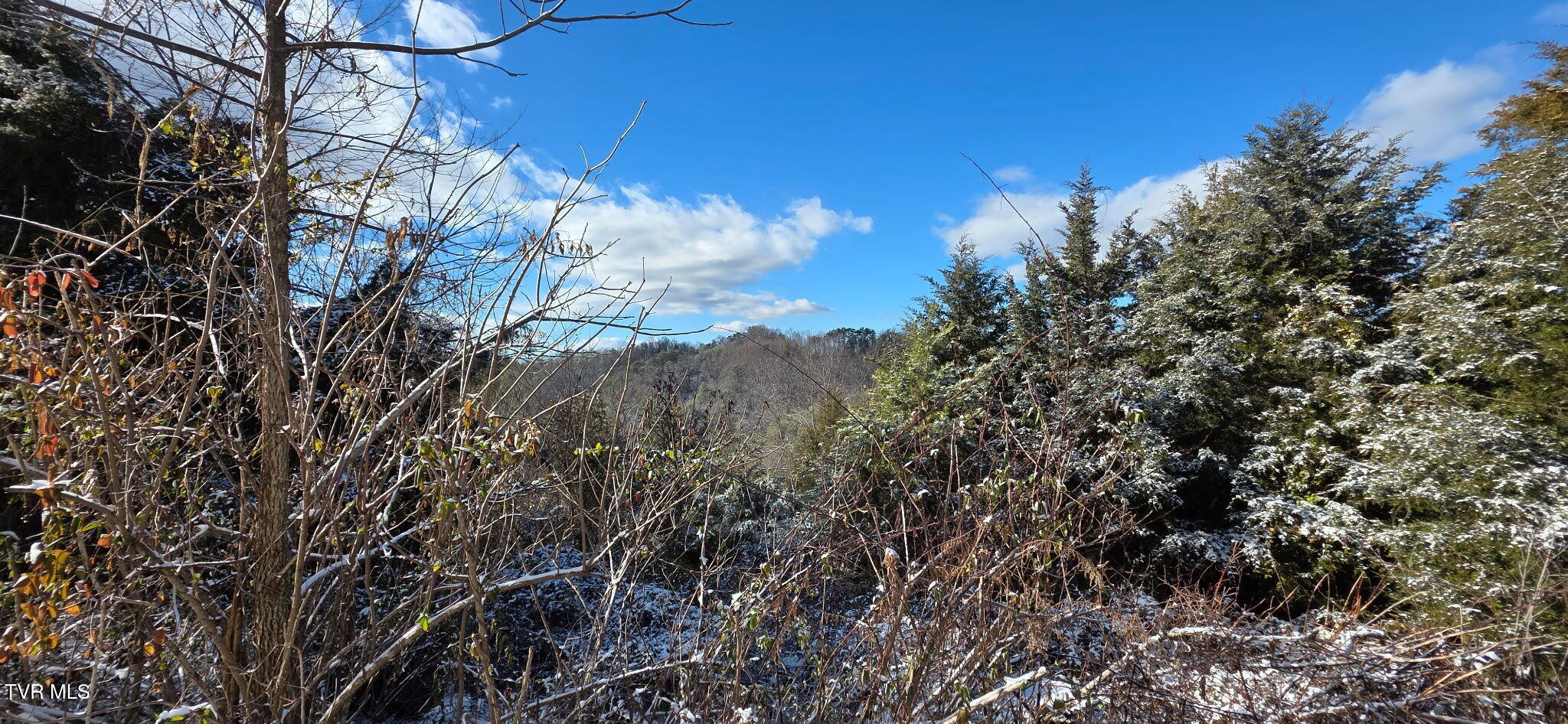 176 Wade Bulla Road Watauga, TN 37694 - Photo 57 of 62 4125033636414958557