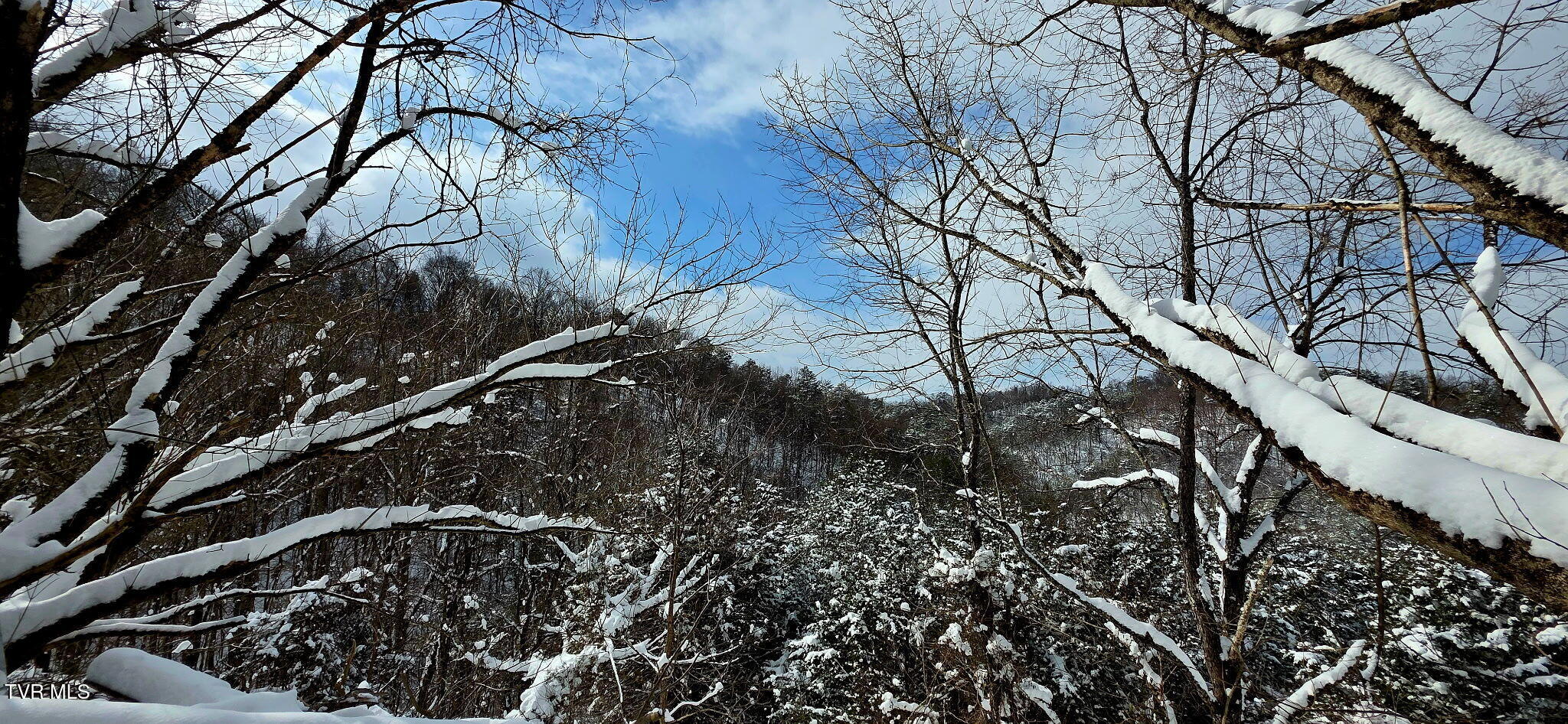 176 Wade Bulla Road Watauga, TN 37694 - Photo 61 of 62 3529691240079644834