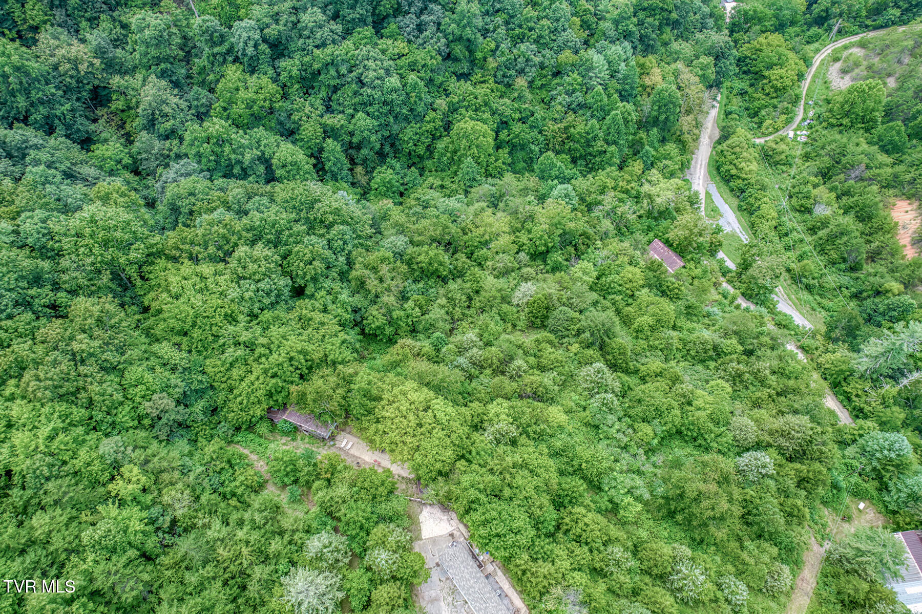 176 Wade Bulla Road Watauga, TN 37694 - Photo 9 of 62 176 Wade Bulla Rd-7