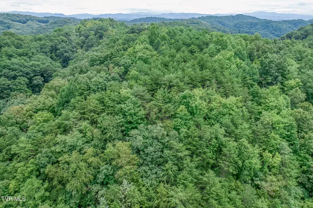 $299,999 | 176 Wade Bulla Road, Watauga, TN 37694