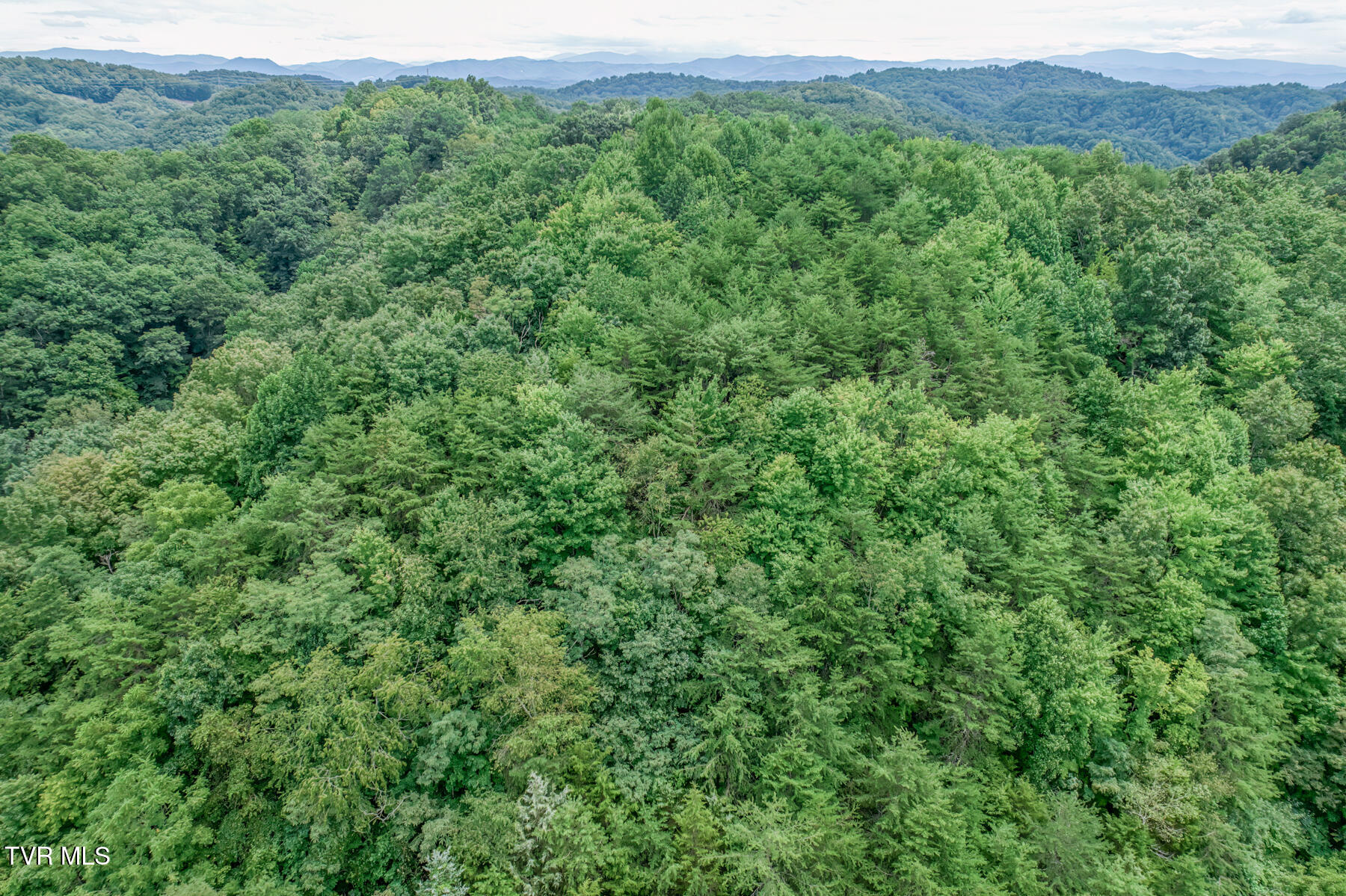 176 Wade Bulla Road Watauga, TN 37694 - Photo 10 of 62 176 Wade Bulla Rd-8