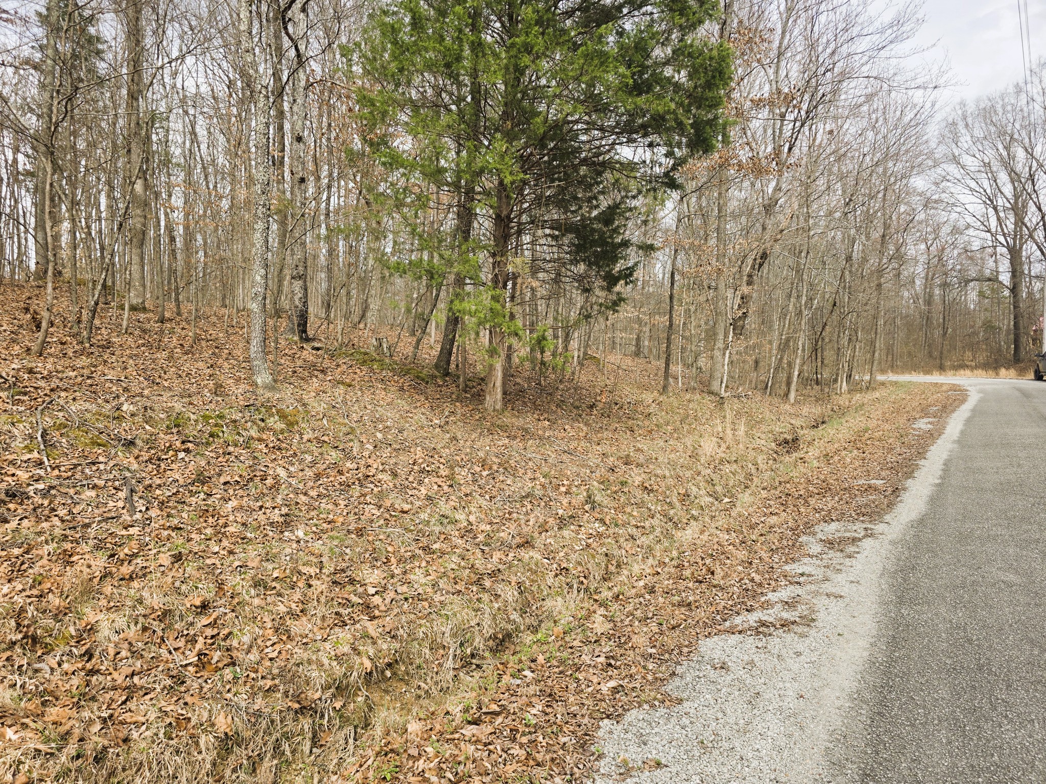 0 Midfield Road Big Sandy, TN 38221 - Photo 3 of 10 Gallery Image 3