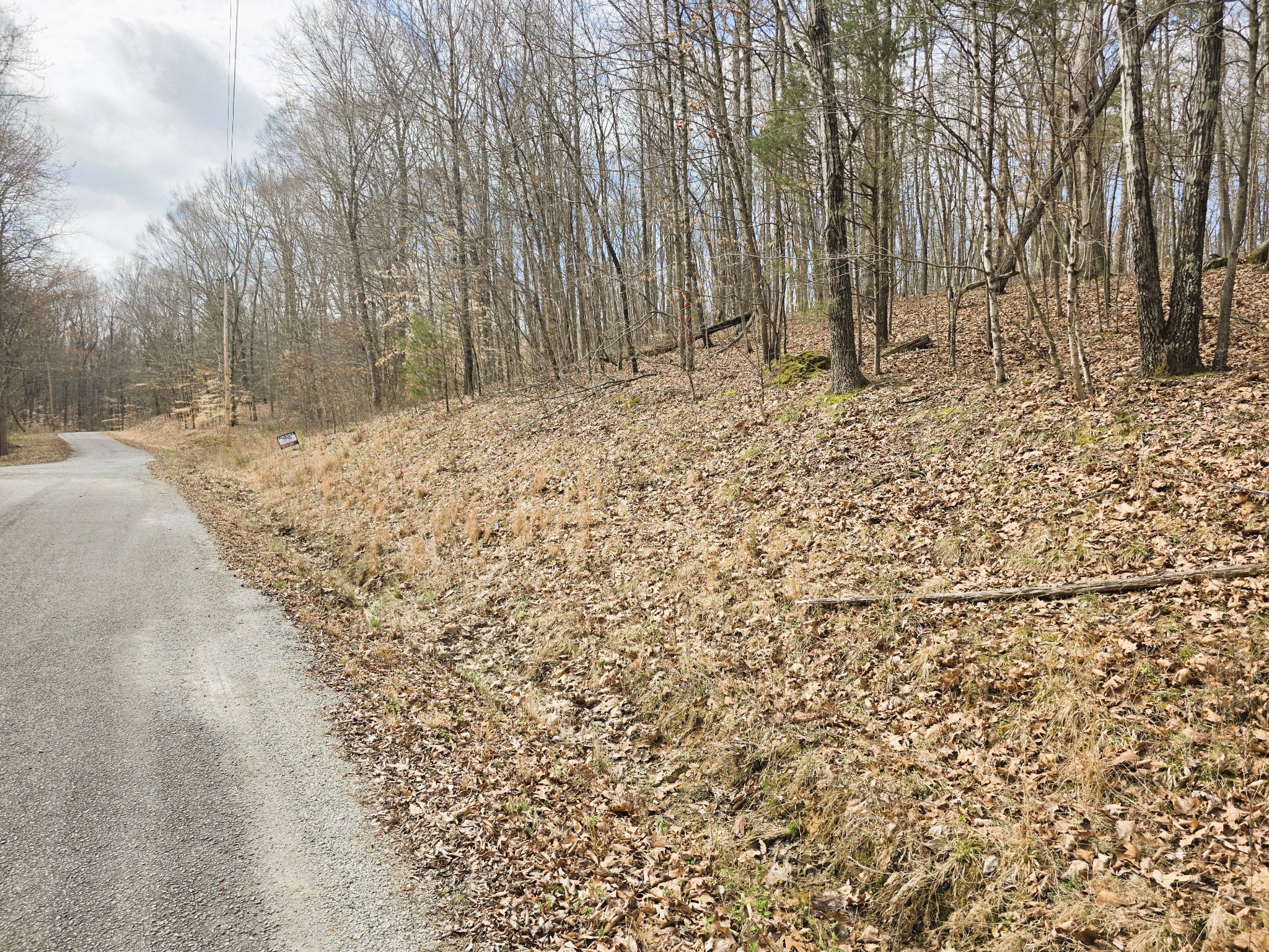 0 Midfield Road Big Sandy, TN 38221 - Photo 4 of 10 Gallery Image 4