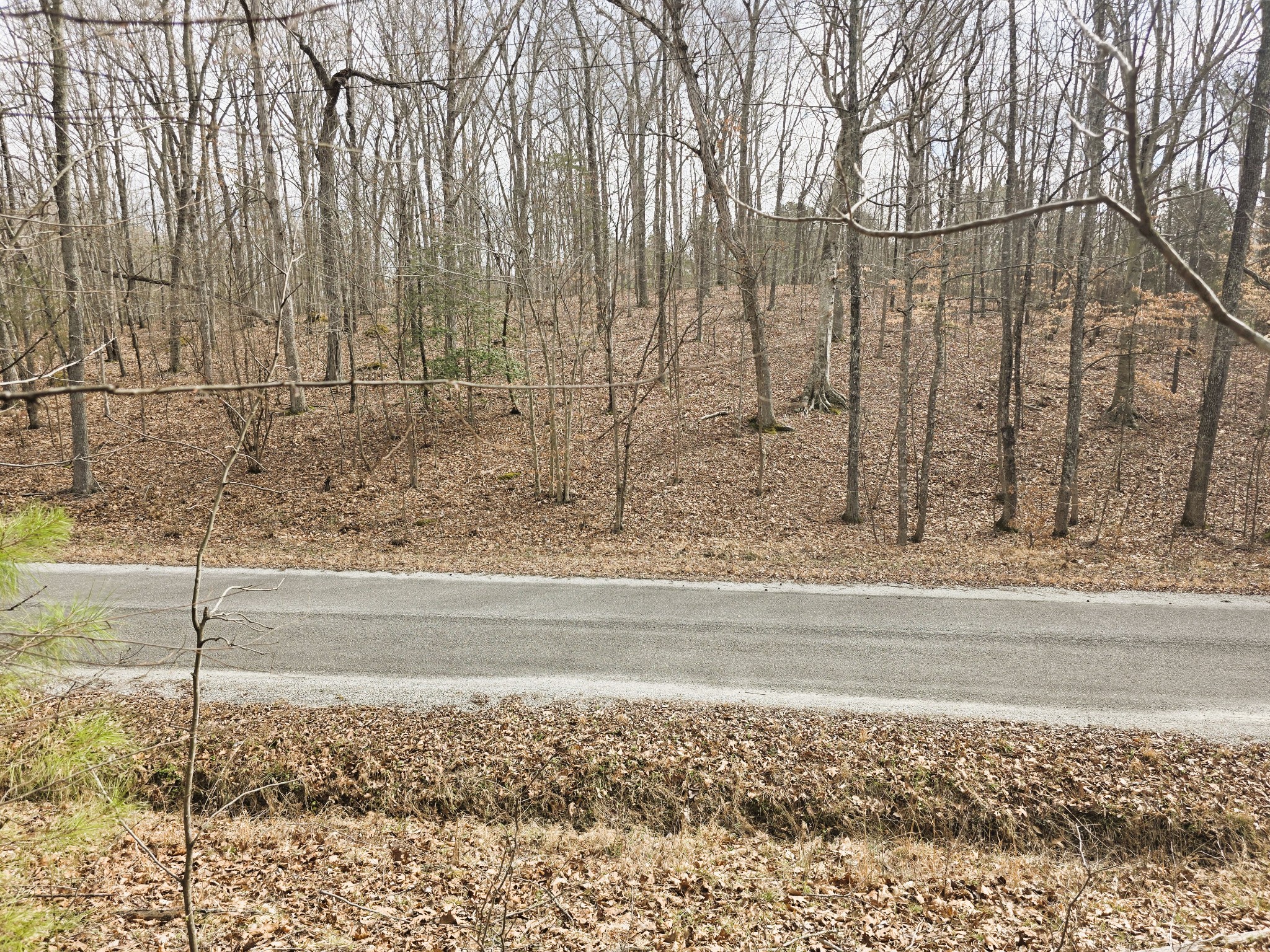 0 Midfield Road Big Sandy, TN 38221 - Photo 5 of 10 Gallery Image 5