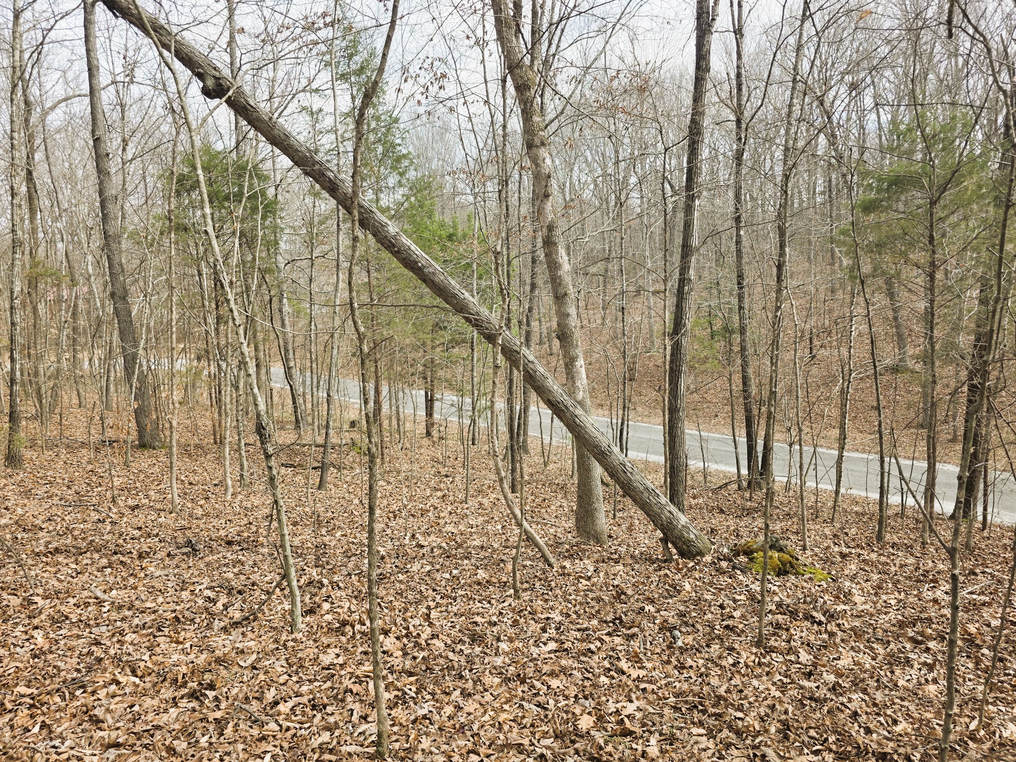 0 Midfield Road Big Sandy, TN 38221 - Photo 8 of 10 Gallery Image 8