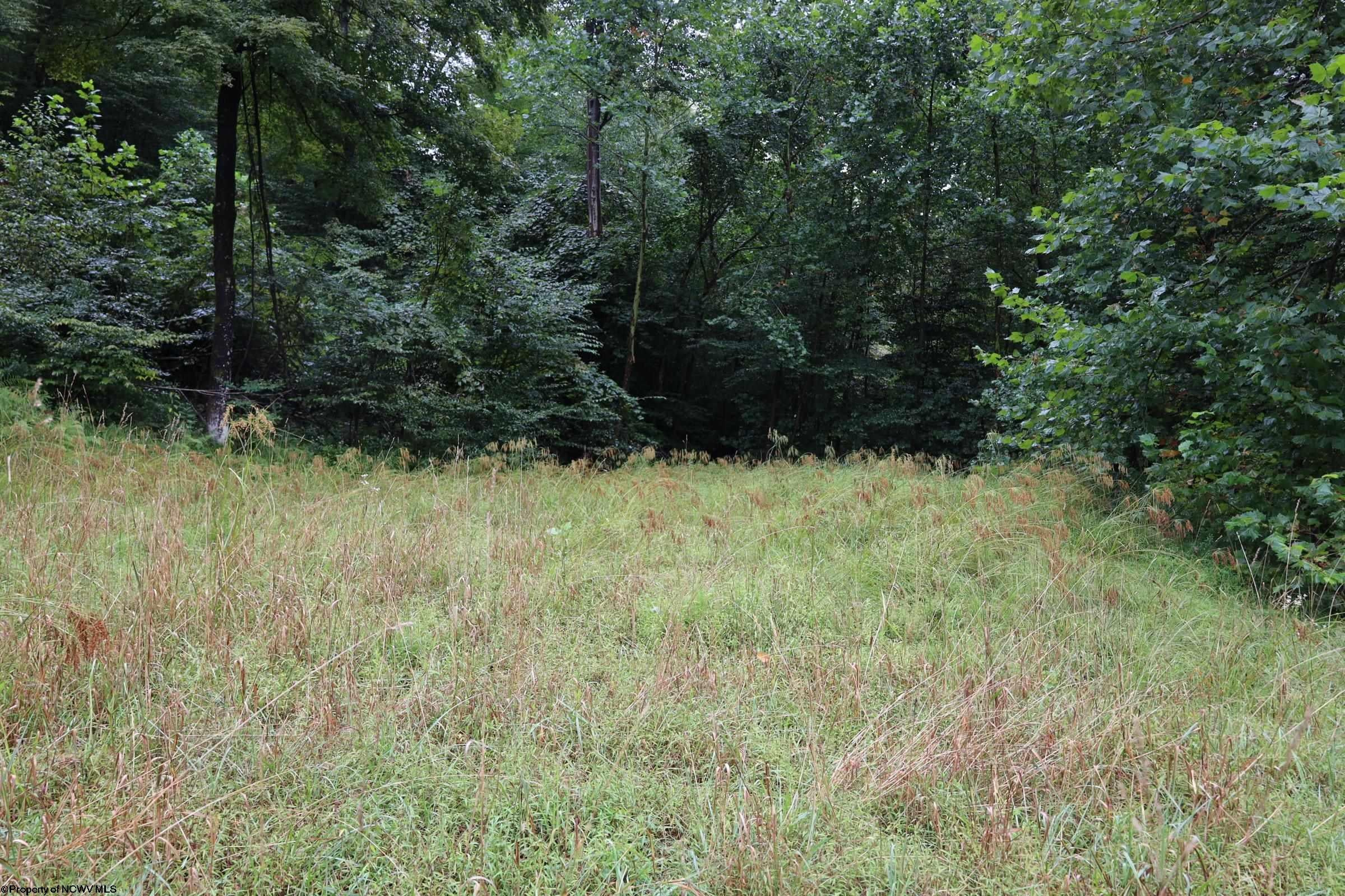 Tbd Bull Run Road Parsons, WV 26287 - Photo 14 of 21 Gallery Image 14