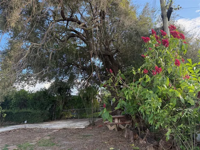 a view of backyard from door