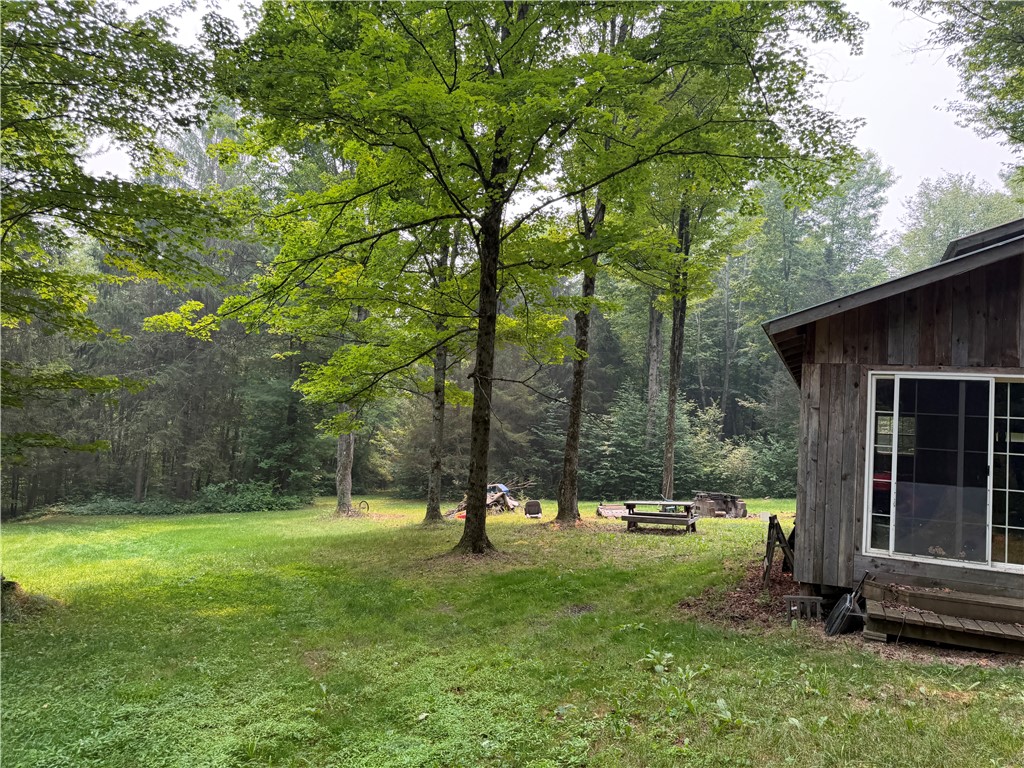 Wp01 Starr Road Campbell, NY 14821 - Photo 41 of 50 Gallery Image 41