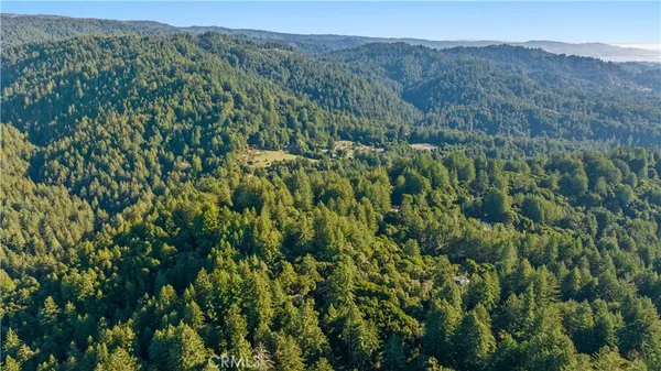 a view of a lush green forest with a mountain