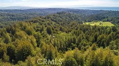 a view of a lush green field with mountains in the background