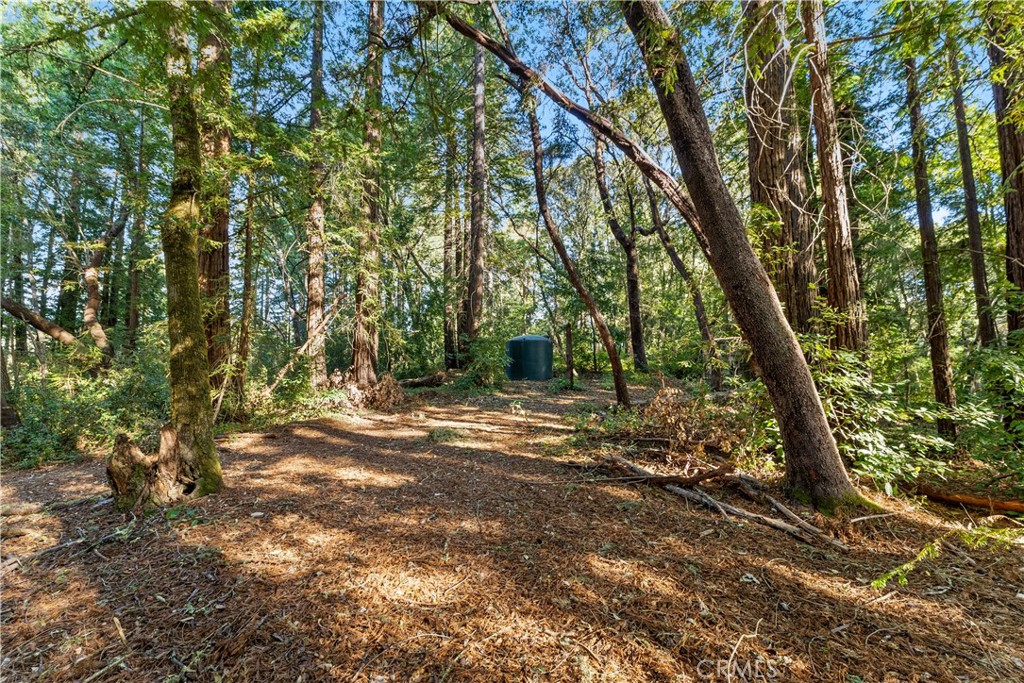 4419 Trout Gulch Road Aptos, CA 95003 - Photo 4 of 15