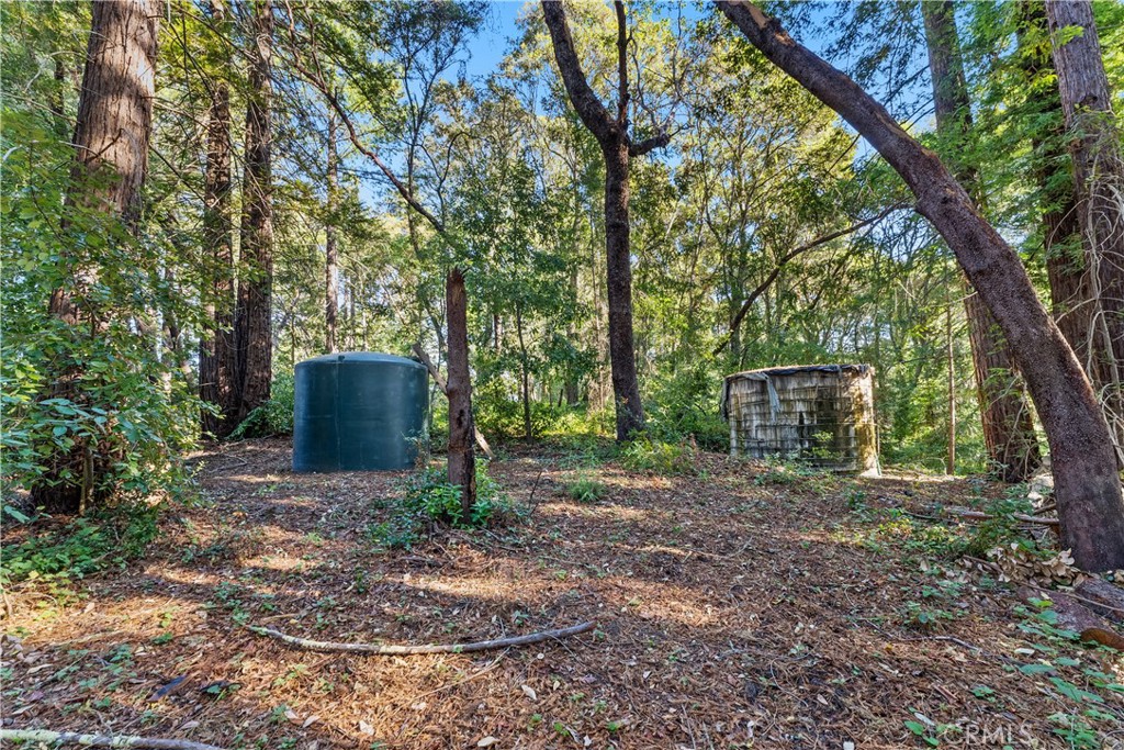 4419 Trout Gulch Road Aptos, CA 95003 - Photo 5 of 15