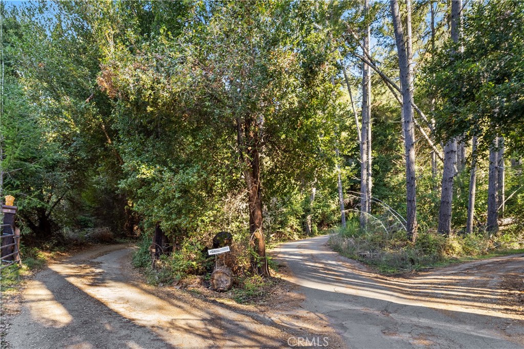 4419 Trout Gulch Road Aptos, CA 95003 - Photo 6 of 15