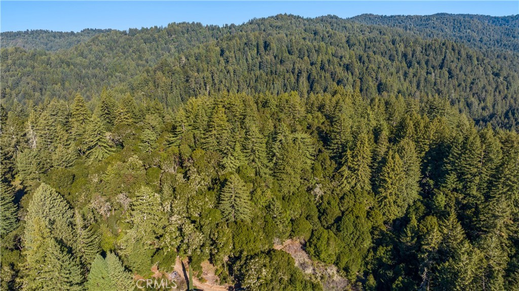 4419 Trout Gulch Road Aptos, CA 95003 - Photo 8 of 15