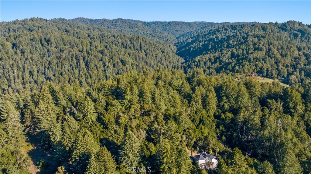 4419 Trout Gulch Road Aptos, CA 95003 - Photo 9 of 15