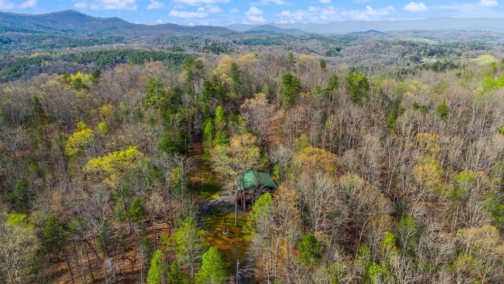 138 Wolf Print Ridge Murphy, NC 28906 - Photo 58 of 60