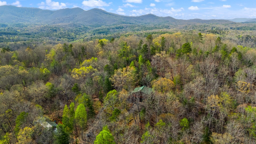 138 Wolf Print Ridge Murphy, NC 28906 - Photo 59 of 60